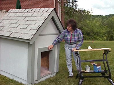 Como hacer casa perros