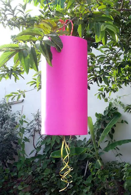 Como hacer una piñata entamborada