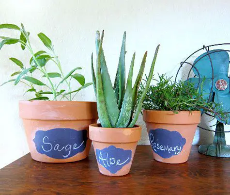 Como decorar macetas con etiquetas
