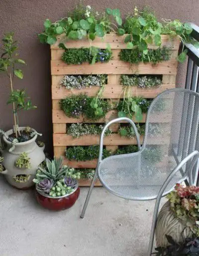 como hacer un jardin pequeño