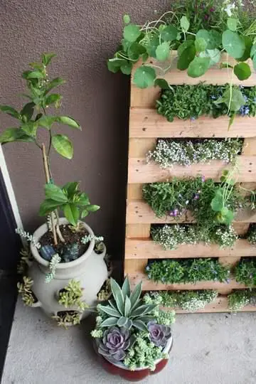 como hacer un jardin pequeño