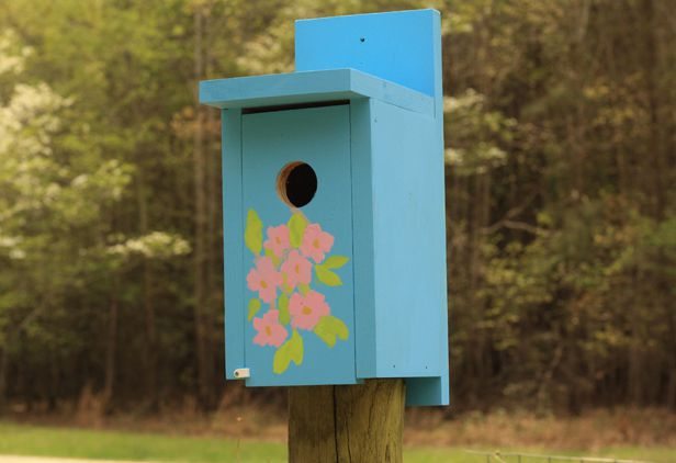 como hacer una casita para aves