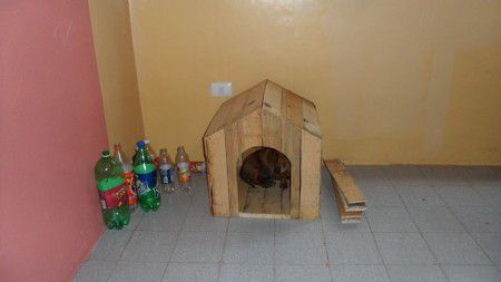 como hacer una cucha para perros de madera