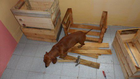 como hacer una cucha para perros de madera