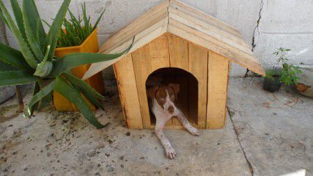 como hacer una cucha para perros de madera