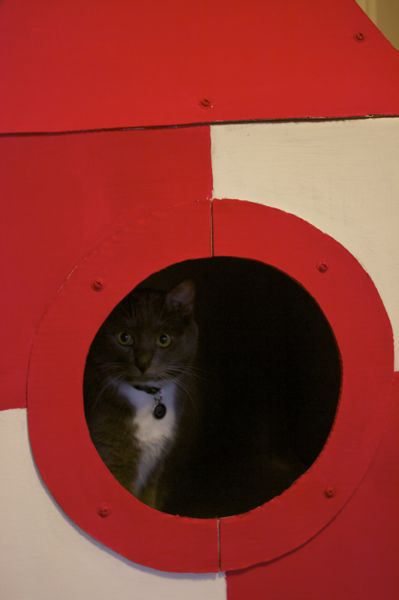 Como hacer una casa para gatos bien original