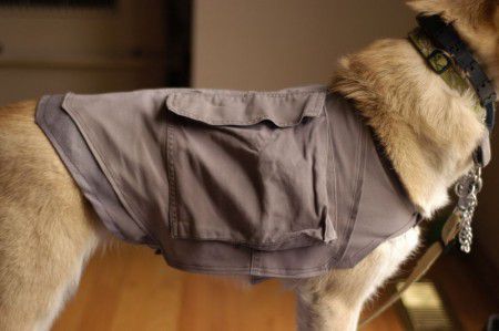 como hacer ropa para perros paso a paso