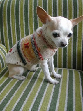 Como hacer ropa para perros reciclando un sweater
