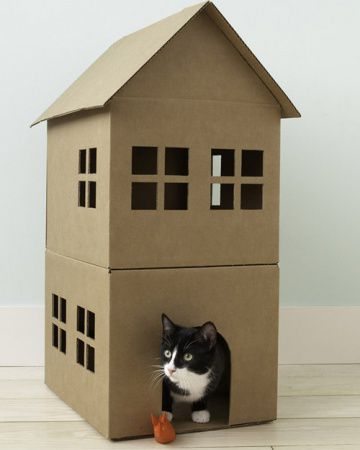 casas para gatos de carton