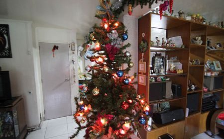 como poner las luces al arbol de navidad