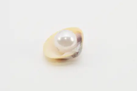 Como hacer un collar con una perla y caracol
