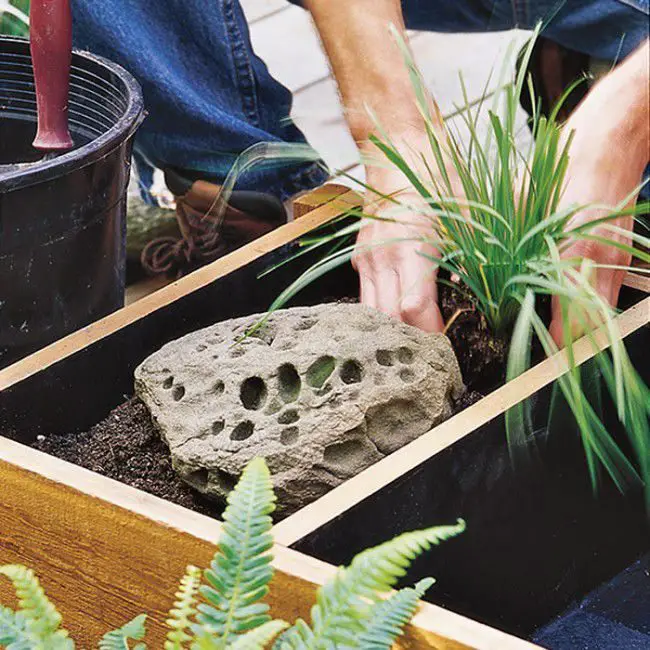 Como hacer un macetero para plantas acuaticas